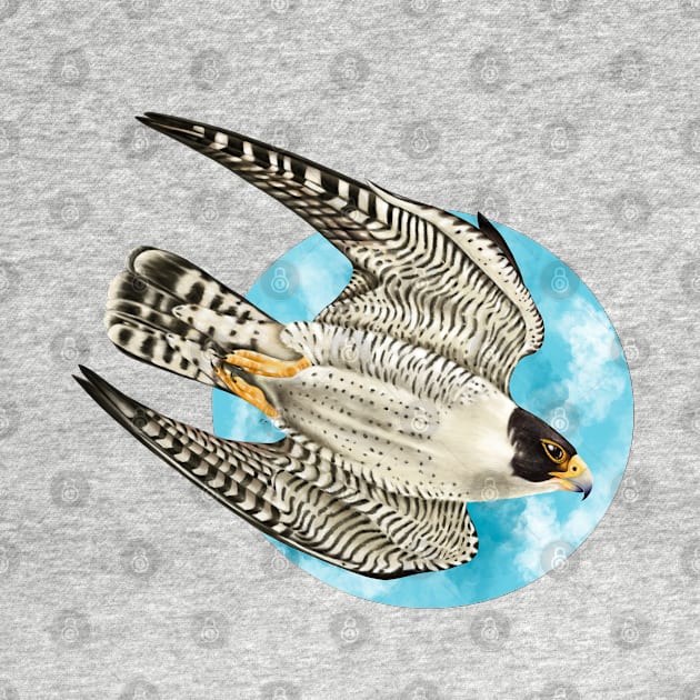 Peregrine Falcon in Flight by Seven Sirens Studios